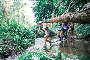 BIB: 
                            <button type="button" onclick="openModal(25459645)" class="btn btn-primary btn-sm float-right btn-popup" data-toggle="modal" data-target=".modal-high-quality">
                        <i class="fas fa-shopping-cart"></i> Add to Cart
                    </button>
                                            <button type="button" onclick="isThisMe(25459645, true)" class="btn btn-success btn-sm float-right btn-popup btn-isme hidden" data-toggle="tooltip" data-placement="bottom" title="นี่คือรูปของคุณใช่ไหม คลิกที่นี่เพื่อเอาเข้าอัลบั้ม">
                        <i class="fas fa-plus"></i> Add to album
                    </button>
                    <button type="button" onclick="isThisMe(25459645, false)" class="btn btn-warning btn-sm float-right btn-popup btn-isnotme hidden">
                        <i class="fas fa-ban"></i> Remove from album
                    </button>